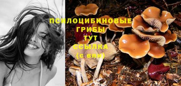 твердый Гусь-Хрустальный