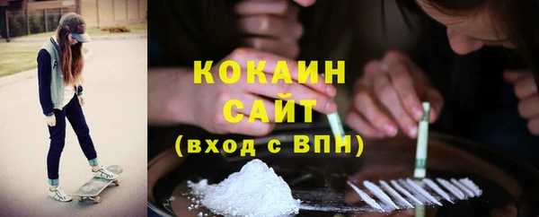 твердый Гусь-Хрустальный