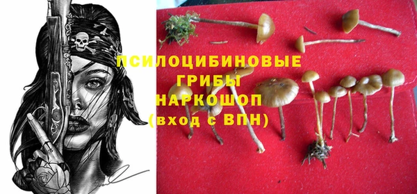 мдпв Гусиноозёрск