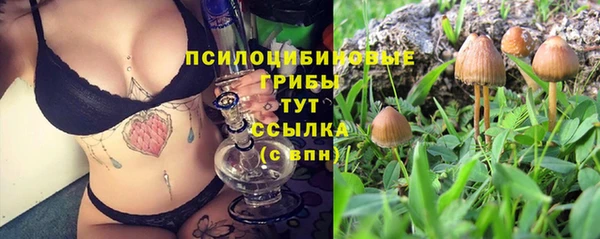 мдпв Гусиноозёрск