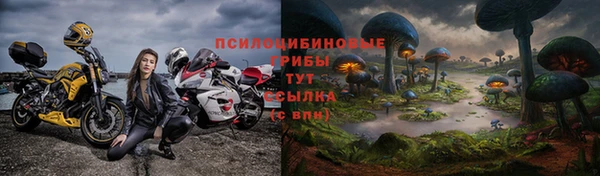 мдпв Гусиноозёрск