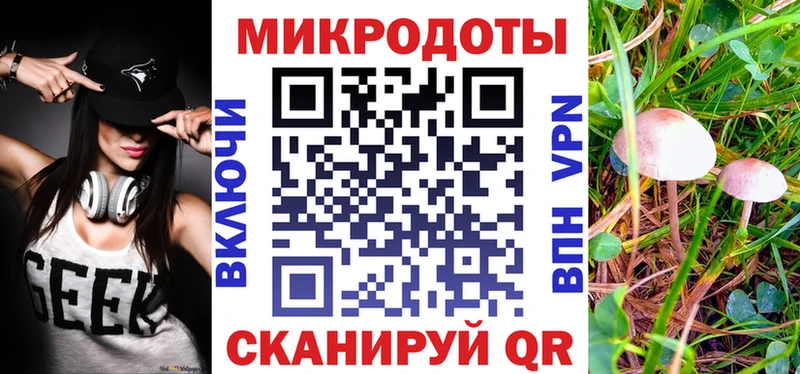 Купить где  Киреевск  Псилоцибиновые грибы Psilocybe 