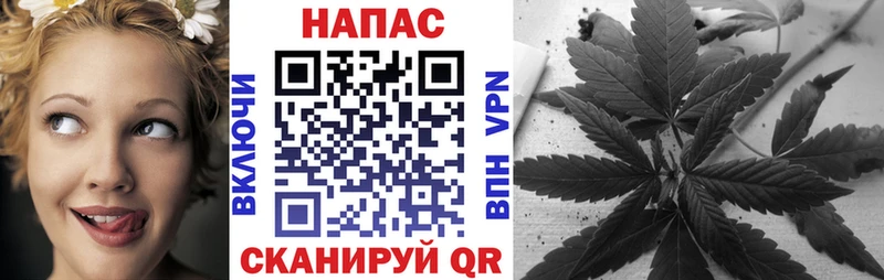 Каннабис Amnesia  Купить  Киреевск 